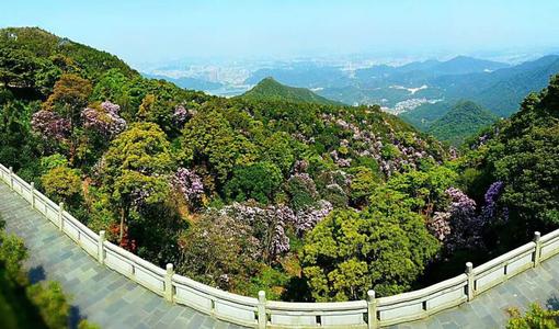 梧桐山风景区